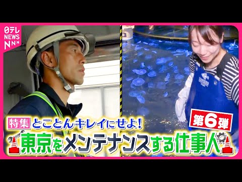 【プロフェッショナル】クラゲ500匹の巨大水槽丸洗い＆道路をキレイにするお掃除軍団！東京をメンテナンスする仕事人『every.特集』