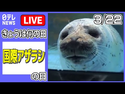 【きょうは何の日】国際アザラシの日 ーーアザラシの“団子3兄弟”　密着のワケ　など ニュースまとめライブ（日テレNEWS LIVE）