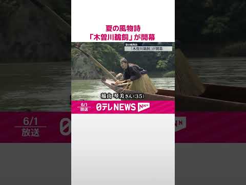 【夏の風物詩】「木曽川鵜飼」が開幕 #shorts