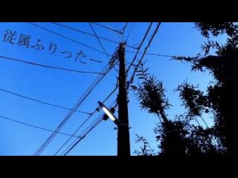 【Ado】従属ふりったー　歌いました