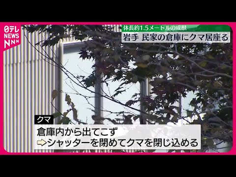 【クマが侵入】一夜明けても居座る 民家敷地内の倉庫に 岩手県・奥州市