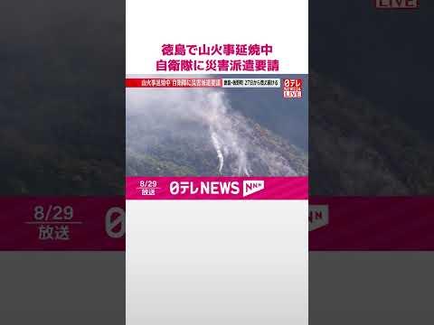 【速報】徳島・板野町で山火事延焼中 自衛隊に災害派遣要請 27日から燃え続ける #shorts