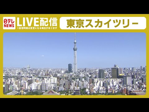 【ライブカメラ】夏の東京――浅草寺周辺から隅田川・スカイツリーを眺める / Summer Tokyo in Japan. Asakusa, Sky Tree（日テレNEWS LIVE）