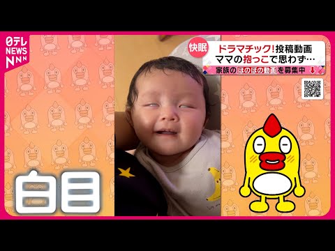 【投稿動画】ママの抱っこが気持ち良すぎて…『every.特集』