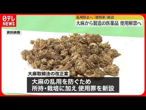 【使用解禁へ】大麻から製造の医薬品 乱用を防ぐため…「使用罪」を新設