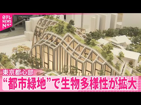 【東京都心部】“都市緑地”で生物多様性が拡大 鳥やチョウの種類が増加