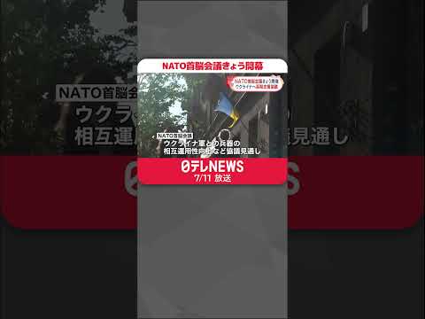 【NATO首脳会議】きょう開幕 ウクライナ加盟の道筋が焦点 #shorts