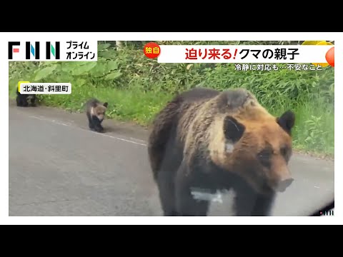 停車した車の反対側の草むらから迫り来る親子グマ　北海道・斜里町　環境省は「むやみに停車せず車から降りない」よう注意呼びかけ