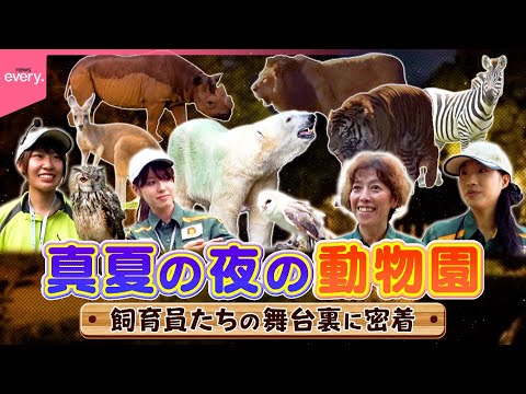 【真夏の夜の動物園】大迫力でカワイイ！開催までの知られざる裏側に密着『every.特集』
