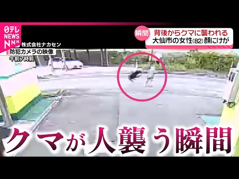 【恐怖】背後から突然… 市街地でクマが女性を襲う瞬間の映像 熊出没の原因と注意点は？　秋田　NNNセレクション