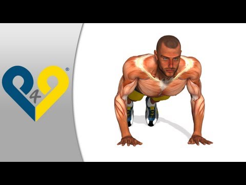 How to push-ups, BEST push-ups Exercise, handstand push-ups, doing push ups - Hands as chest width