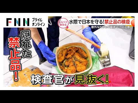 水際で日本を守る！禁止品の検疫【しらべてみたら】