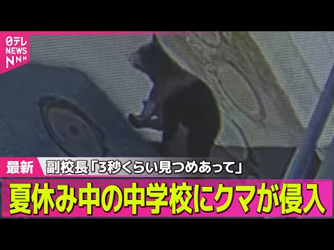 【クマ出没】 夏休み中の中学校にクマが侵入…副校長「3秒くらい見つめあって」　岩手（日テレNEWS LIVE）