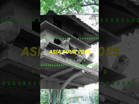 Jakarta - PART1｜Shot &amp; edited by Isseyman #PR #nikonzr #ZR #ZCINEMA #緑黄色社会 #リョクシャカ