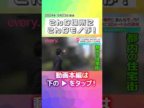 ↑↑本編はリンクから！↑↑【なぜ！？】道路の真ん中に200の墓…こんな場所にこんなモノが！『every.特集』