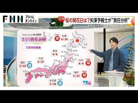 桜の開花予想東京で3/21　“2度の強烈寒波”で河津桜は開花遅れる「桜祭り」に影響も　あす26日から気温急上昇のち急降下　矢澤気象予報士