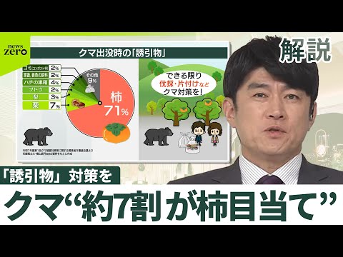 【出没“急増”2万件超・クマ対策】機動隊の「ライフル銃」で駆除も？ 自衛隊は「銃撃」想定ナシ 警察官の「拳銃」は効かず？