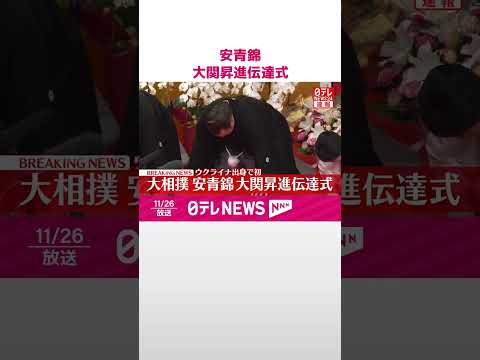 【速報】安青錦 大関昇進伝達式 #shorts