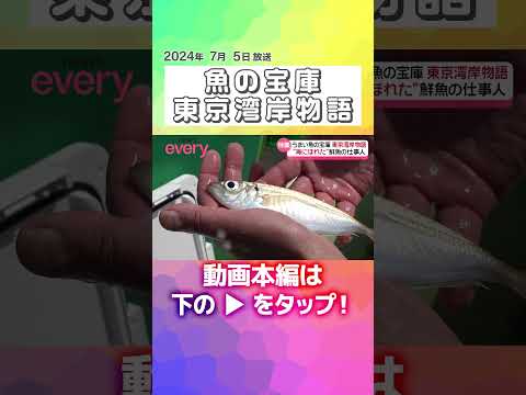 ↑↑本編はリンクから！↑↑【魚の宝庫】黄金アジフライ＆地魚にぎり！ 東京湾岸物語『every.特集』