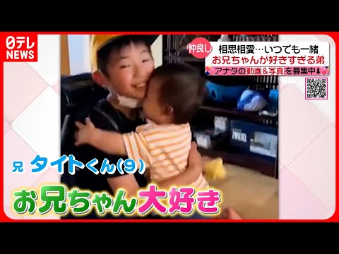 【投稿動画】兄が好きすぎる弟『every.特集』