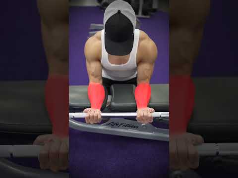 Forearm Exercise Variations (KNOW THE DIFFERENCE!)