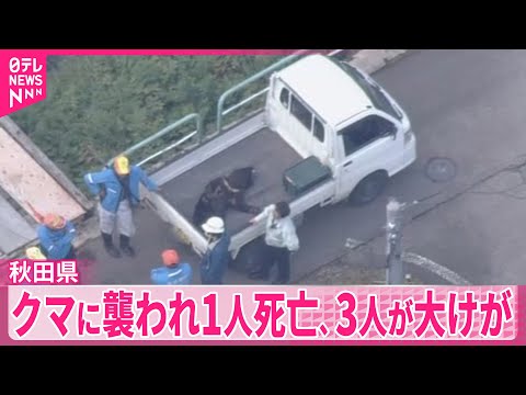 【秋田 クマ】次々とクマに襲われ1人死亡、3人が大けが