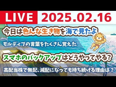 【お金の勉強ライブ】モルディブからお金の質疑応答していくよー【2月16日 21時過ぎまで】