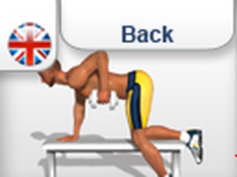 &quot;Dumbbell Row&quot; Exercise for Back Muscles