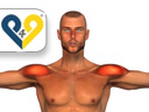 Dumbbell Lateral Raise exercise