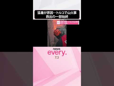 【救出の一部始終】猛暑が原因…トルコで山火事 #shorts