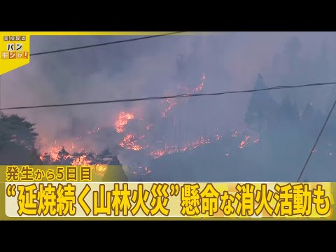 【山林火災】大船渡・平成以降“国内最大” 震災で津波で家流され…今度は火の手が『バンキシャ！』