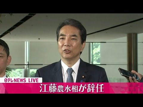 【会見ノーカット】江藤農水相が辞任　記者団にコメント ──政治ニュースライブ（日テレNEWS LIVE）