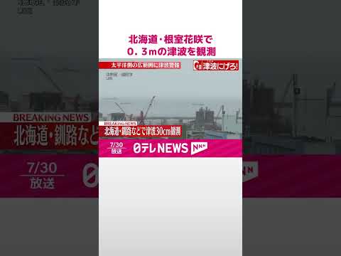 【速報】北海道・根室花咲で０．３ｍの津波を観測 #shorts