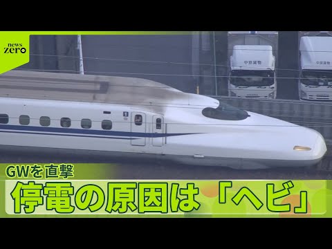 【停電の原因は「ヘビ」】東海道新幹線一時“運転見合わせ” GWを直撃 再開後もダイヤ乱れ #鉄道ニュース