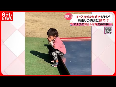 【投稿動画】すべり台怖すぎて？ 絶句する男の子『every.特集』