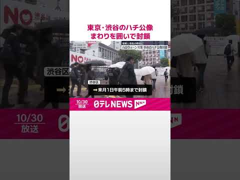 【ハチ公像】まわりを囲いで封鎖 ハロウィーン期間の安全対策 東京・渋谷 #shorts