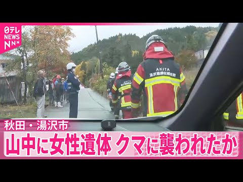 【山中に女性遺体】クマに襲われたか 秋田でクマによる人身被害相次ぐ