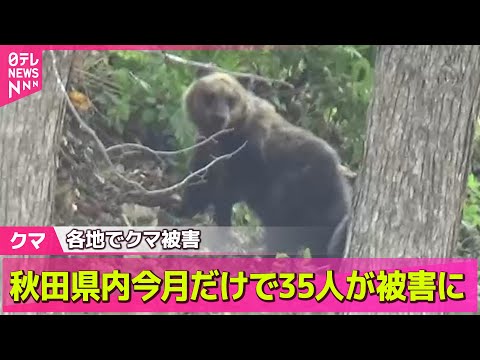 【クマ】85歳女性、自宅敷地でクマに襲われる　後頭部にけが　秋田── ニュースまとめ （日テレNEWS LIVE）