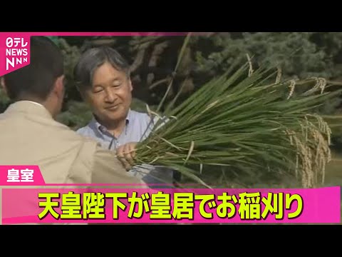 【皇室】天皇陛下 皇居でお稲刈り / 悠仁さま、昭和天皇陵を参拝　成年式終えたことを報告── 皇室ニュースライブ（日テレNEWS LIVE）