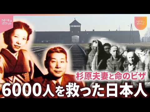 【NNNドキュメント】ナチスへの恐怖の中で… 杉原千畝と幸子の&quot;命のビザ&quot; 高校生が見つめる平和の意味　NNNセレクション