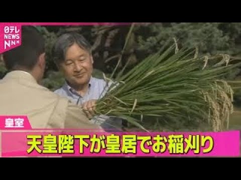 【皇室】天皇陛下 皇居でお稲刈り / 悠仁さま、昭和天皇陵を参拝　成年式終えたことを報告── 皇室ニュースライブ（日テレNEWS LIVE）