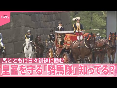 【皇宮警察】皇室を守る「騎馬隊」女性皇宮護衛官の日常　“晴れの場”信任状捧呈式、馬と訓練　大の馬好き、馬術大会入賞も