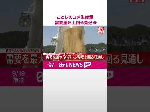【速報】政府関係者「価格の安定に繋がることを期待する」 #shorts