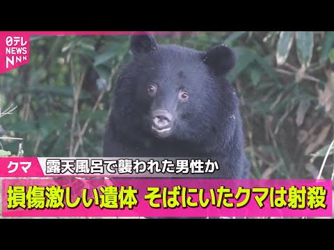 【クマ】 損傷激しい遺体…そばにいたクマを駆除　不明の従業員男性か　岩手・北上市── ニュースまとめ （日テレNEWS LIVE）