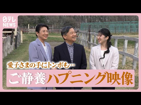 【ほっこり】頭が”ごっつんこ”から愛子さまの手にトンボまで…記者が見た天皇ご一家の”ご静養”名シーン【教養としての皇室12】