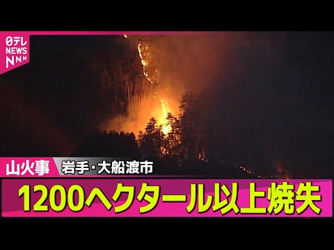 【山火事】平成以降“国内最大の林野火災に”1200ヘクタール以上焼失 岩手・大船渡市 / 長野・上田市で山火事　78歳男性が重いやけど　など──ニュースライブ（日テレNEWS LIVE）