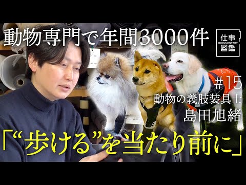 【獣医師も認める動物の義肢装具士】動物専門になったきっかけ／受注が「月1件」からのスタート／獣医師に認められる存在に／試作品の山／3Dプリンターの活用【ドキュメンタリー 仕事図鑑（島田旭緒）】
