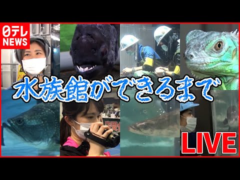 【水族館の舞台裏ライブ】世界中の美しい水辺6つを再現/ 新水族館オープンまでの秘話/新人飼育員の仕事 など（日テレNEWS LIVE）