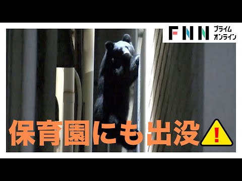 お昼の保育園にも出没…相次ぐクマ被害　「緊急銃猟」でクマ駆除する地域も　熊に関するニュースまとめ