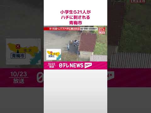 【速報】小学校で1年生の児童ら21人がハチに刺される 東京・青梅市